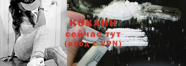 эйфоретик Чекалин