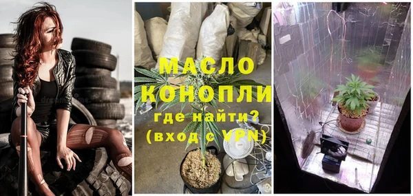 эйфоретик Чекалин