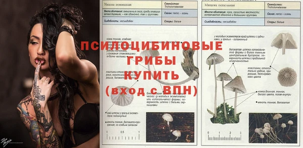 эйфоретик Чекалин