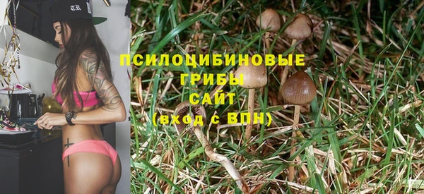 эйфоретик Чекалин