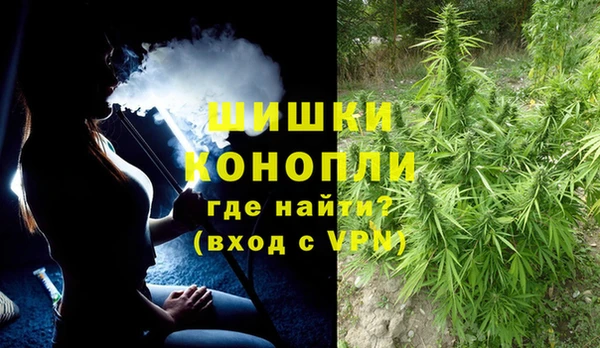 эйфоретик Чекалин