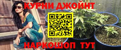 гидропоника Ипатово