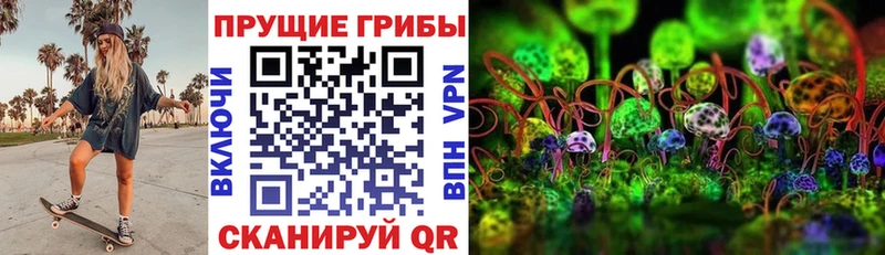 Галлюциногенные грибы MAGIC MUSHROOMS  kraken маркетплейс  Магнитогорск 