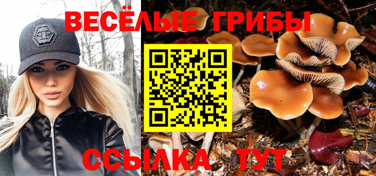Псилоцибиновые грибы ЛСД  купить наркотики сайты  Псилоцибиновые грибы Psilocybe  Магнитогорск  Вход с VPN 